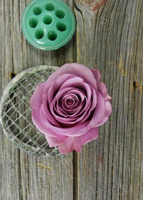 LAVENDER ROSES